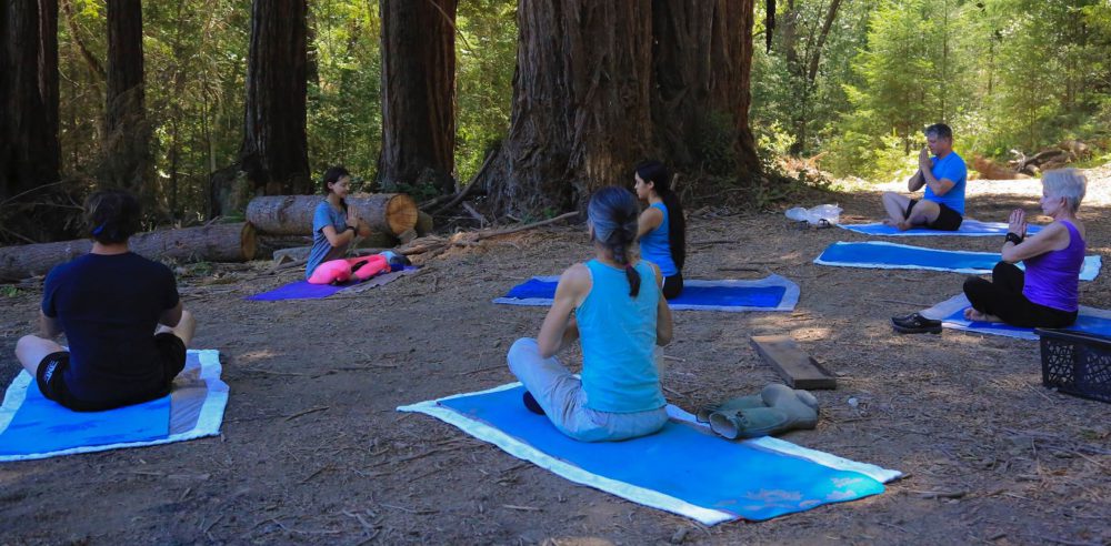 Outdoor yoga among the redwoods at New Tree Ranch