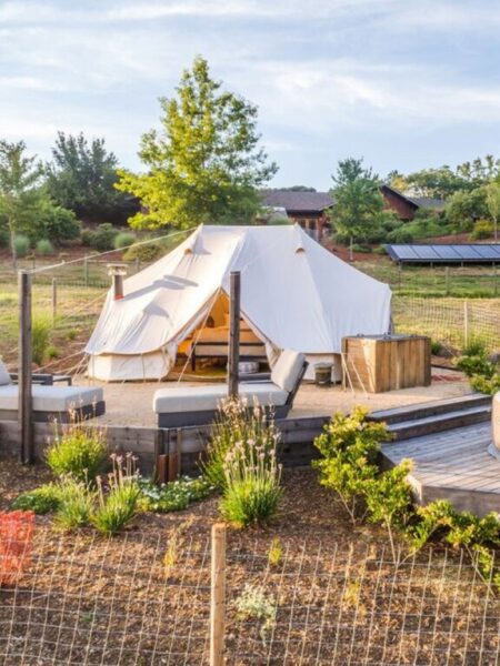 Experiences - NewTree Ranch