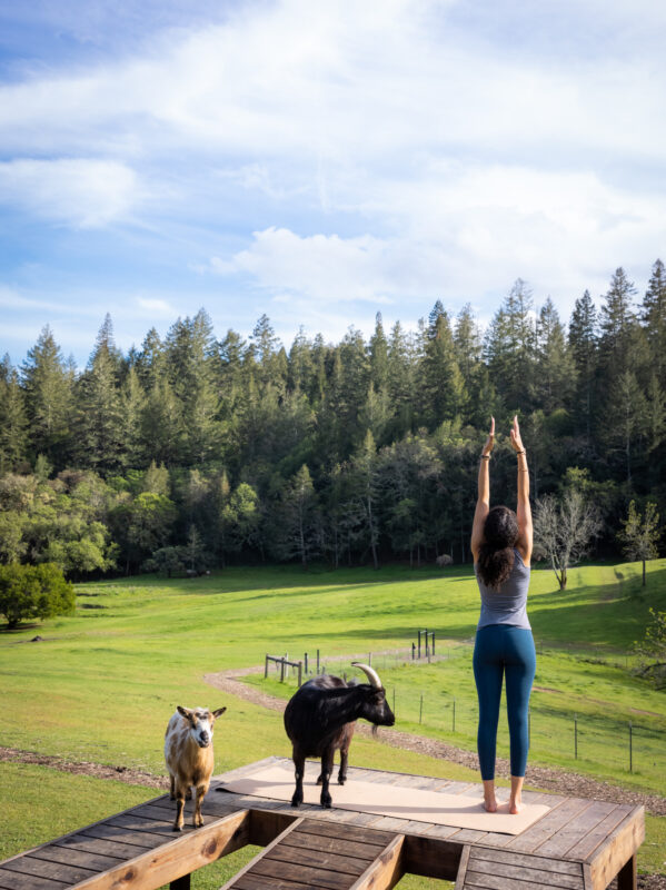 woman doing yoga with goats in front of spectacular backdrop