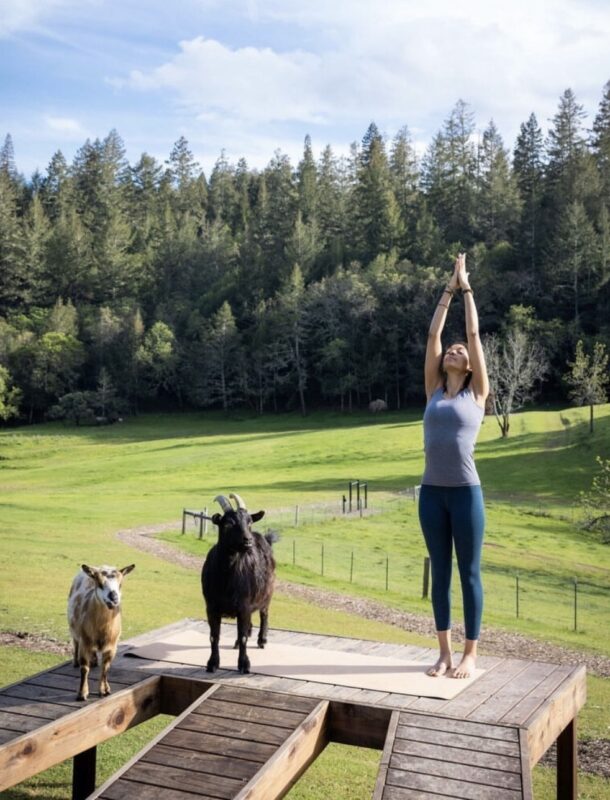 woman doing yoga with goats on platform, with stunning a natural landscape of NewTree Ranch in the background