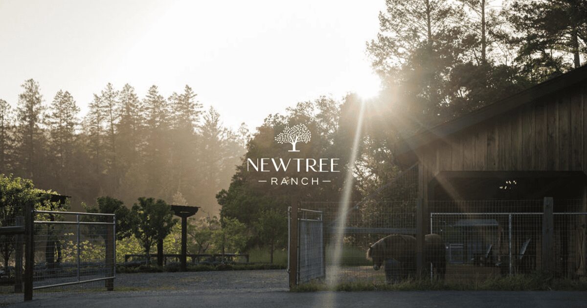 Luxury Retreat Sonoma | Private Ranch Stay in Wine Country | NewTree Ranch