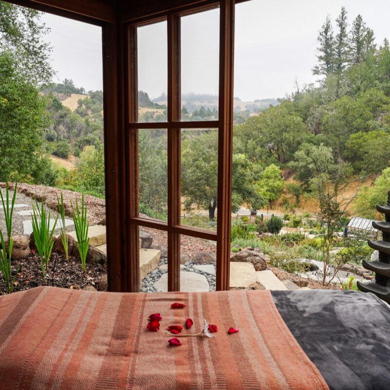 Massage table overlooking the land at NewTree Ranch